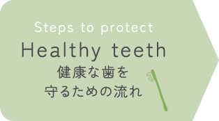 Steps to protect Healthy teeth 健康な歯を守るための流れ
